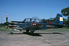 0732(1-A-414) Beech T-34C, Argentine Navy, Punta Indio 2005