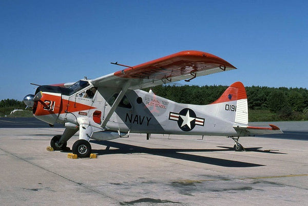 150191(31) De Havilland U-6A Beaver, USNTPS, Patuxent River 1987