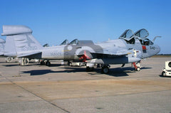 163890(NH540) Grumman EA-6B, USN(VAQ-134), Washington,