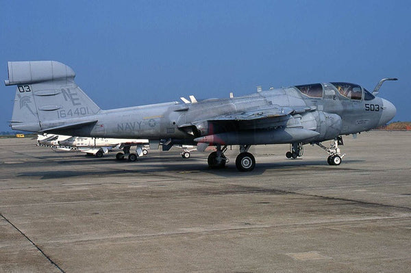 164401(NE503) Grumman EA-6B, USN(VAQ-131), Washington 2005