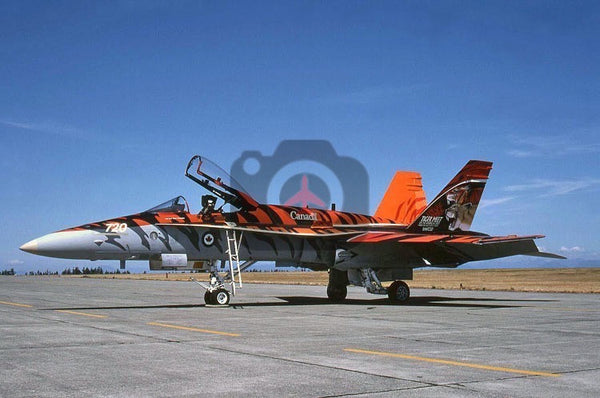 188720 McDonnell Douglas CF-188A, CAF, 2003, Tiger scheme