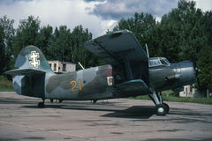 21 Yellow Antonov An-2, Lithuanian AF, 1998