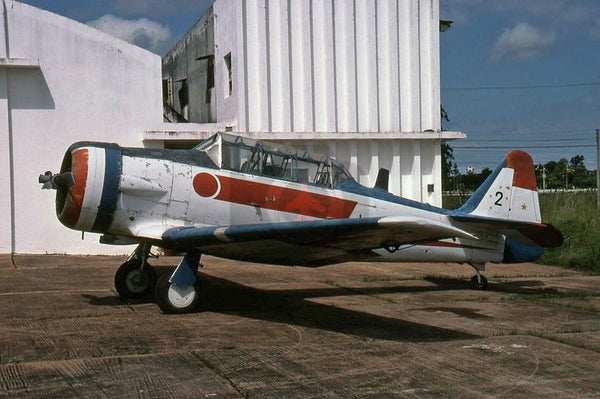 2 North American T-6, Paraguayan AF, Asuncion 2002