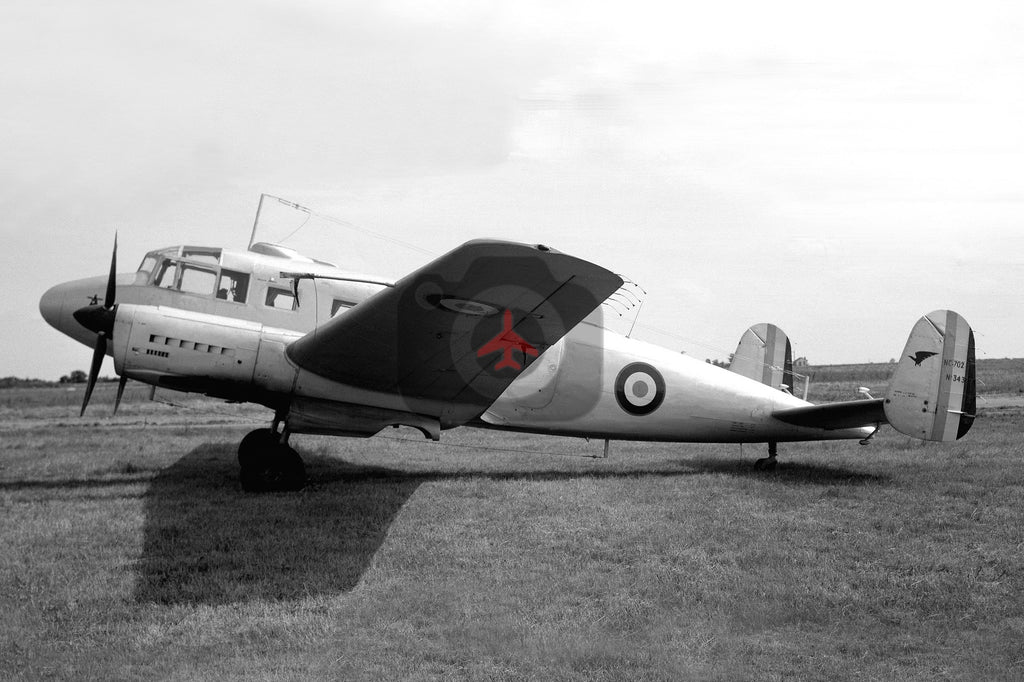 Royal store jordanian 343