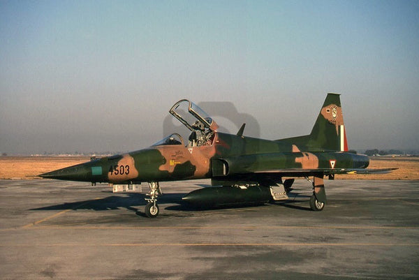 4503 Northrop F-5E, Mexican AF, Santa Lucia 2000