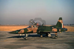 4508 Northrop F-5E, Mexican AF, Santa Lucia 2000