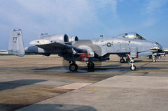 79-192(FT) Fairchild A-10A, USAF(23FG), Washington 2010