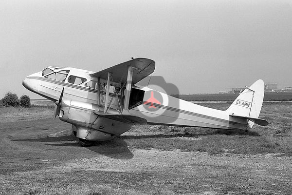 EI-AMN, De Havilland DH89A Dragon Rapide