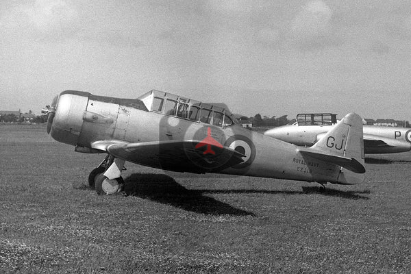 EZ316 (GJ) North American NA81 Harvard 2, Royal Navy, Jersey