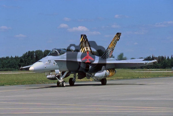 J-5011 McDonnell Douglas F-18C, Swiss AF, Poznan 2018, Tiger scheme