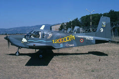 MM61935(9) SIAI 208M, Italian AF, 2003, special markings