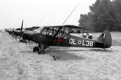 OL-L38 Piper PA-18 Super Cub, Belgian Army
