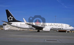 SU-GCS Boeing 737-866(WL), Egyptair - Star Alliance