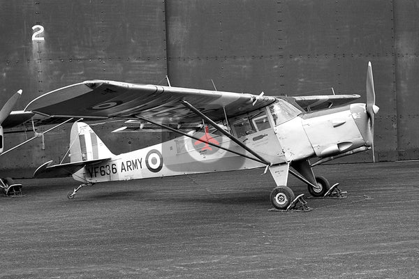 VF636 Auster AOP.6, British Army, Middle Wallop 1960