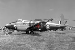 VP959(L) De Havilland DH104 Devon C.2, Royal Aircraft Establishment, Blackbushe