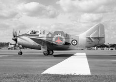 WN365 Fairey Gannet T.2, Royal Navy, Farnborough 1954